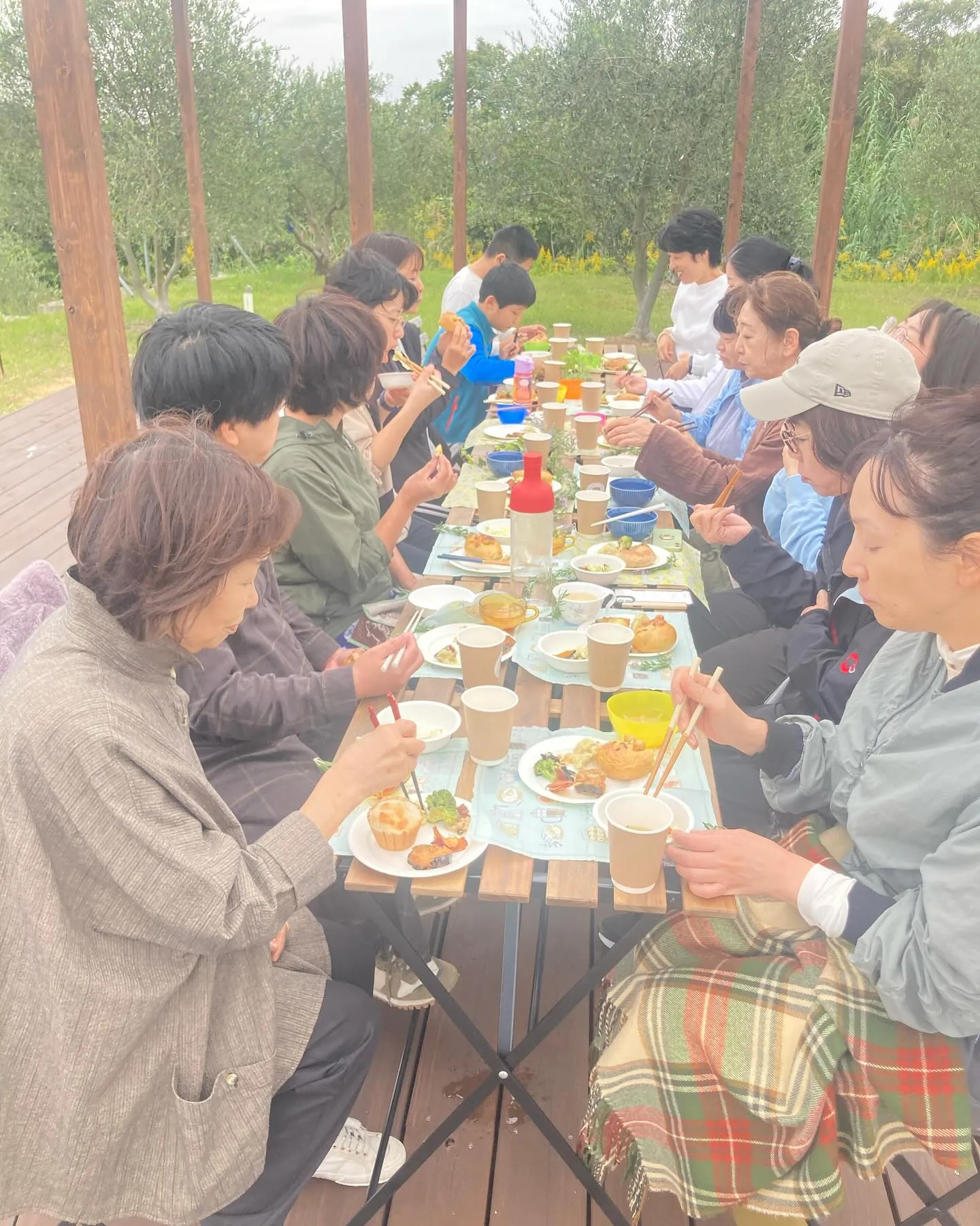 瀬戸内海の風と匂いと音を感じながら、荘内半島のオリーブ農園で...