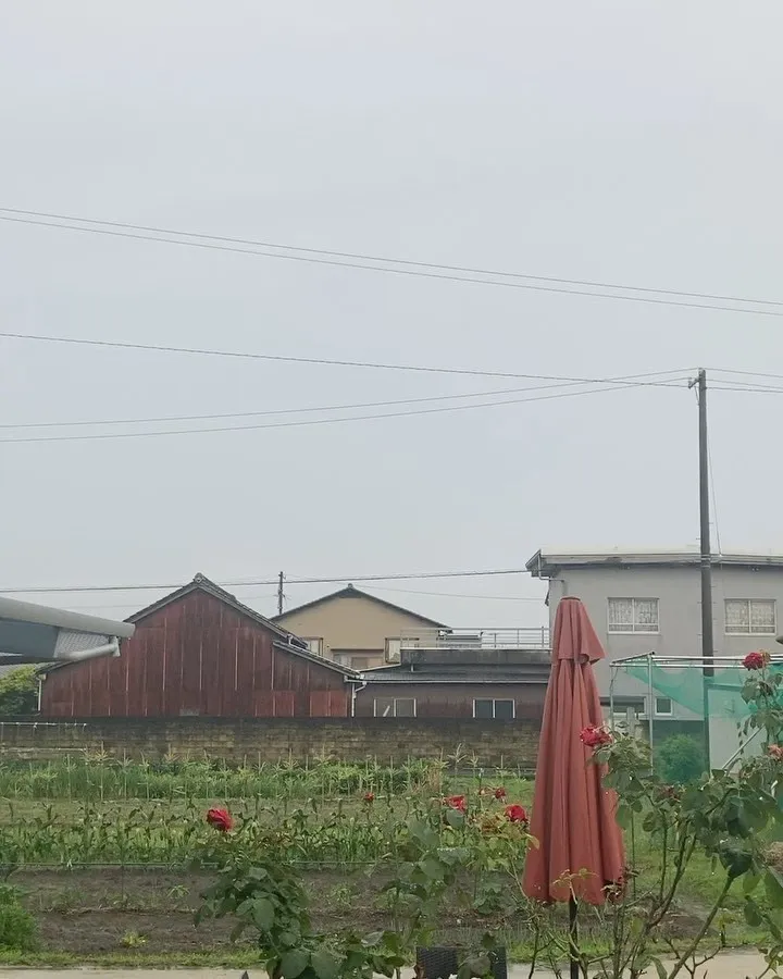 かわいいパンたちが並んでいます❣️梅雨入りしても楽しめるパン...